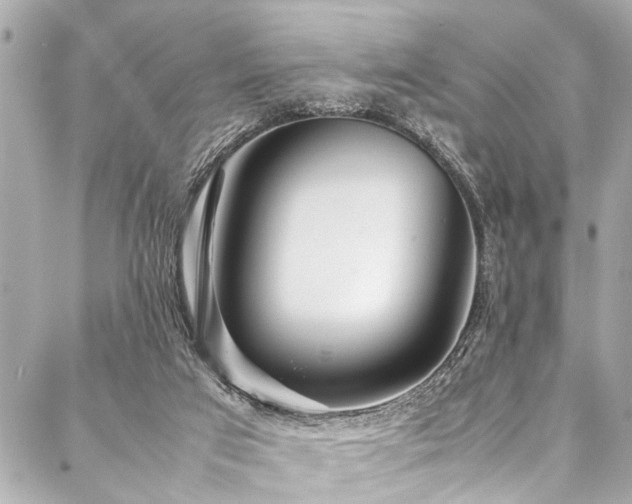 X0000088090017200705111515