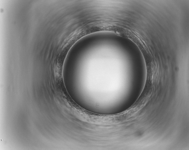 X0000088090044200705111515