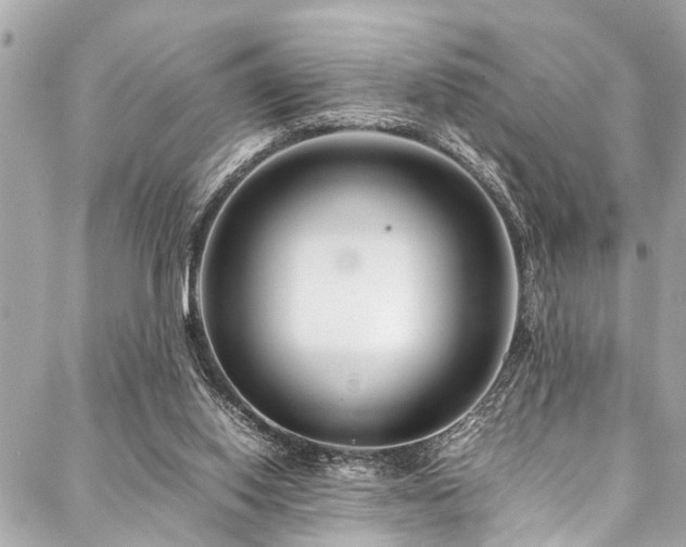 X0000088090062200705111514
