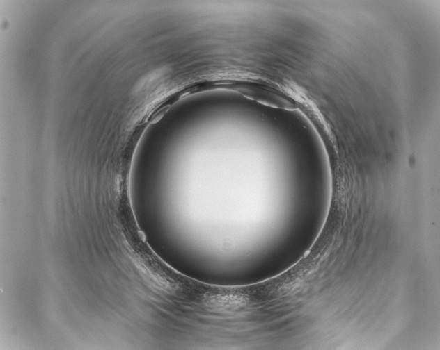 X0000088090063200705111514