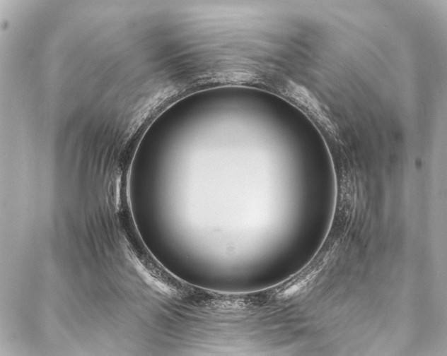 X0000088090110200705111514