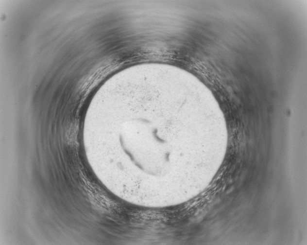 X0000088090146200705111513