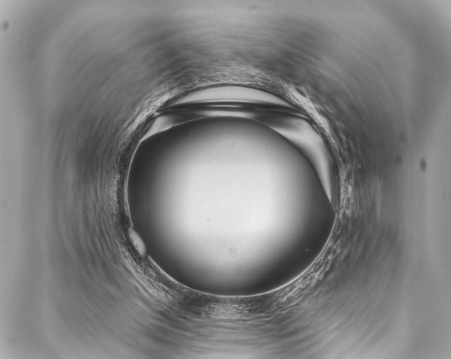 X0000088090154200705111513
