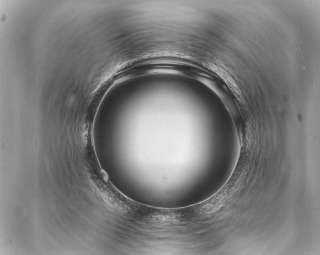 X0000088090160200705111513