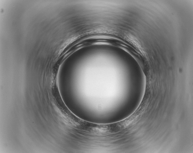 X0000088090164200705111513