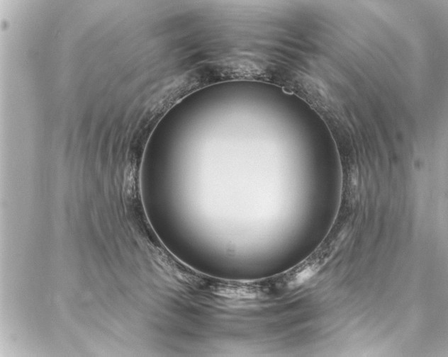X0000088090177200705111513
