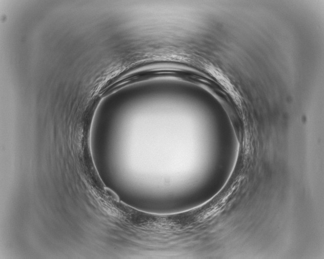 X0000088090201200705111512