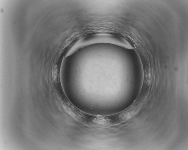 X0000088090231200705111512