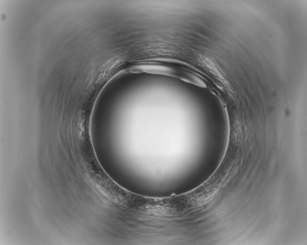 X0000088090259200705111511