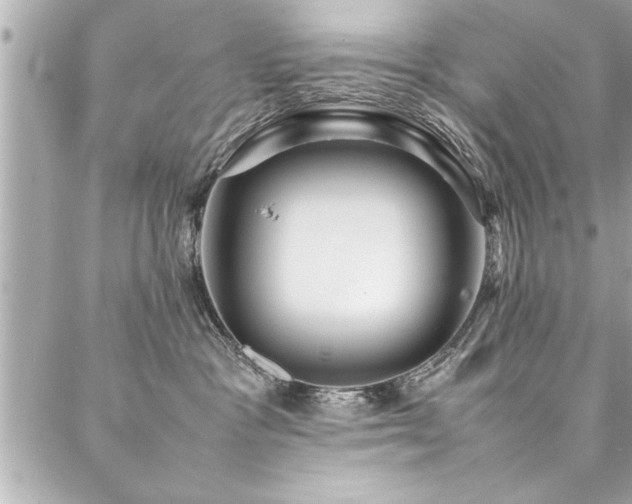 X0000088090333200705111510