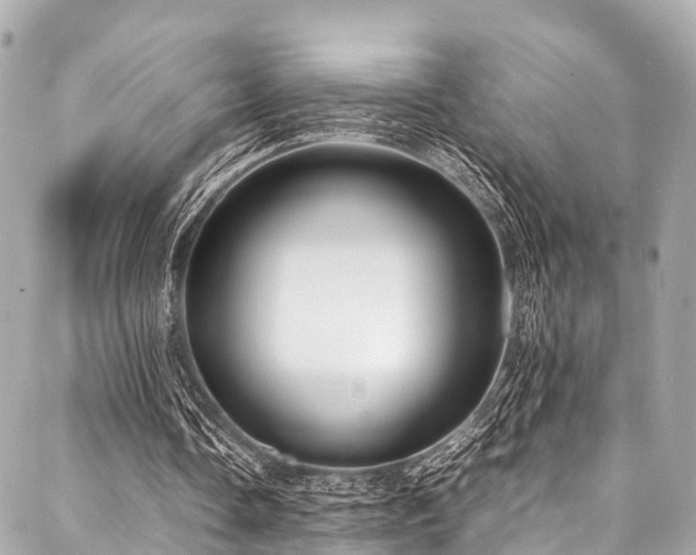 X0000088090338200705111510