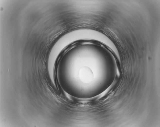 X0000088090364200705111510
