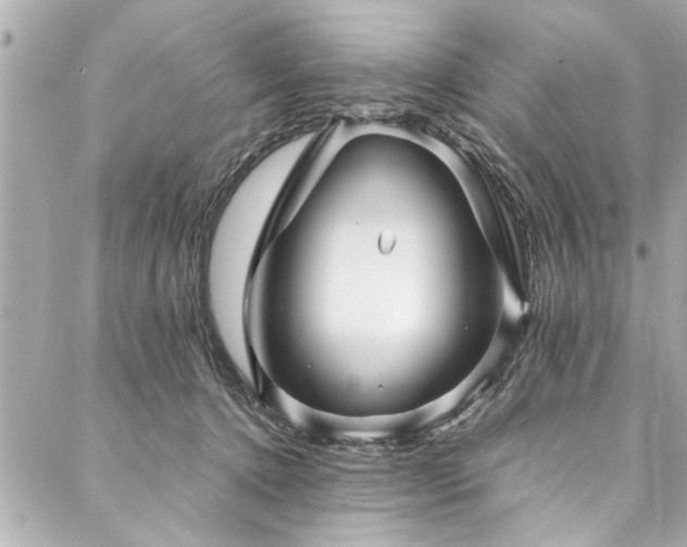 X0000088090368200705111510