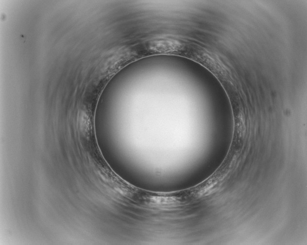 X0000088090371200705111510
