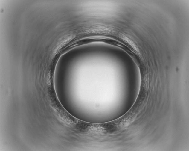 X0000088090403200705111509