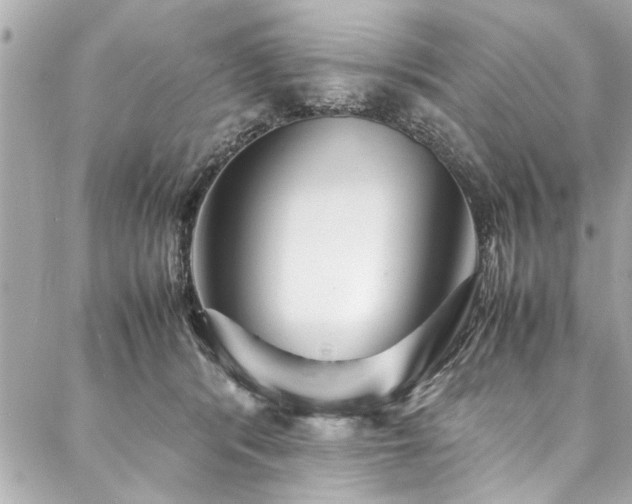 X0000088090416200705111509