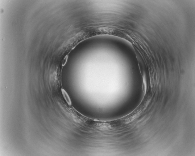 X0000088090424200705111509