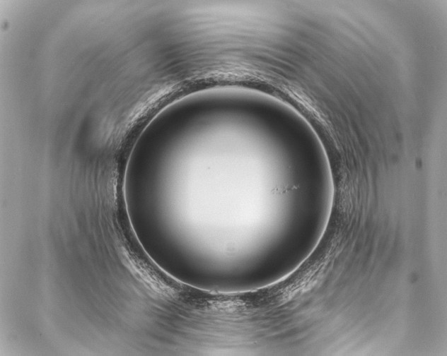 X0000088090446200705111508