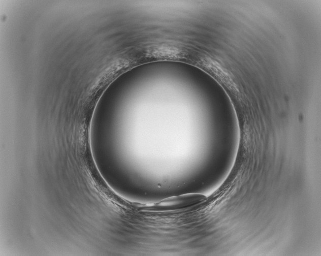 X0000088090449200705111508