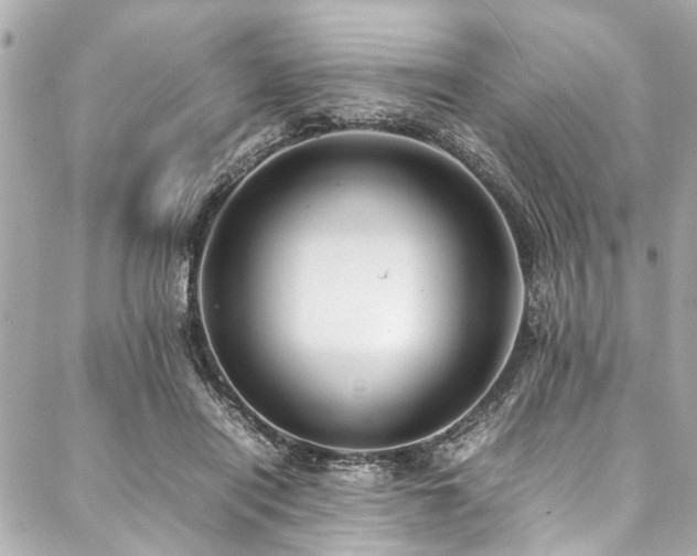 X0000088090454200705111508