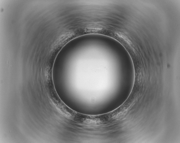 X0000088090455200705111508