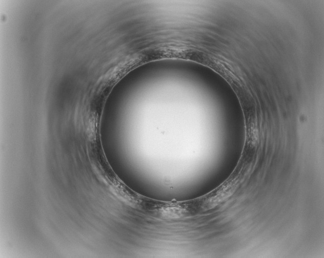 X0000088090468200705111509