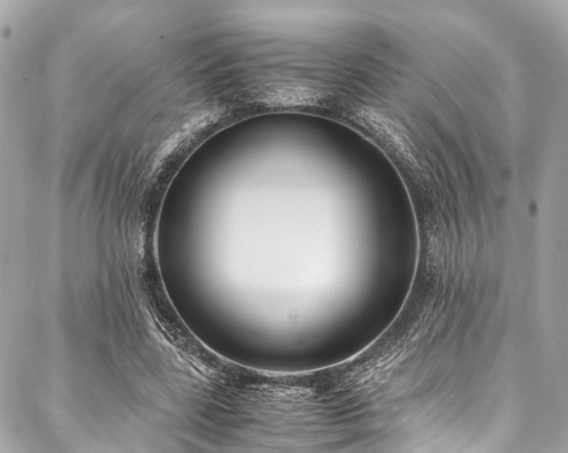 X0000088090539200705111507