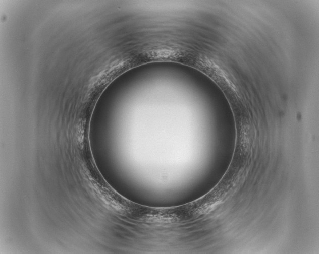 X0000088090545200705111507