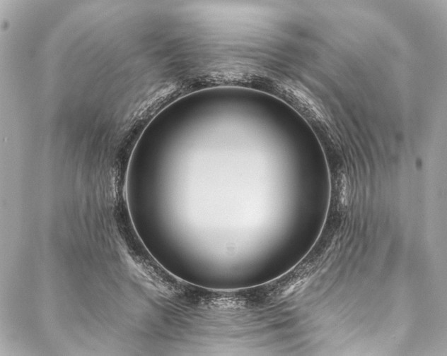 X0000088090546200705111507