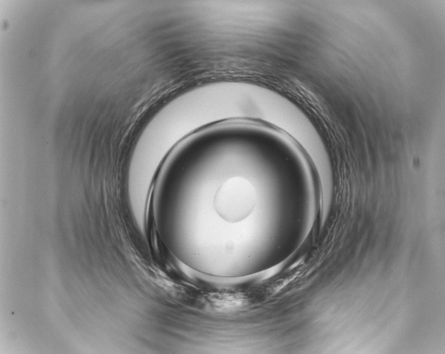 X0000088090552200705111507