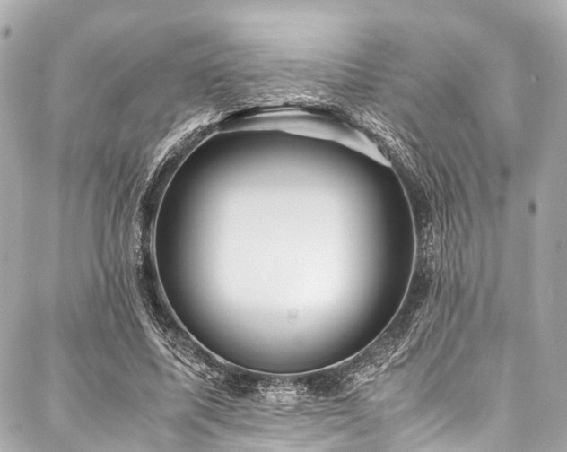 X0000088090587200705111506