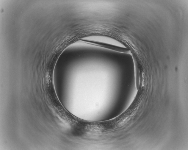 X0000088090597200705111506
