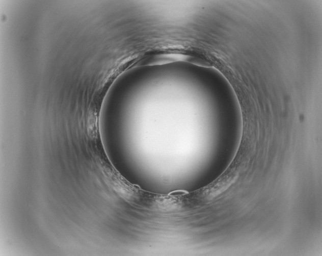 X0000088090624200705111506