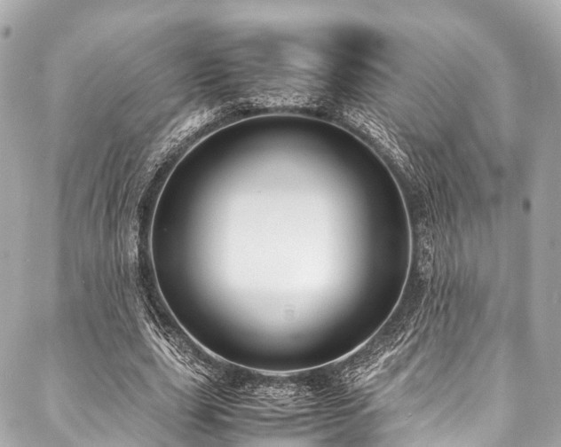 X0000088090631200705111505