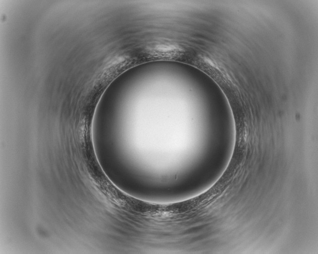 X0000088090647200705111505