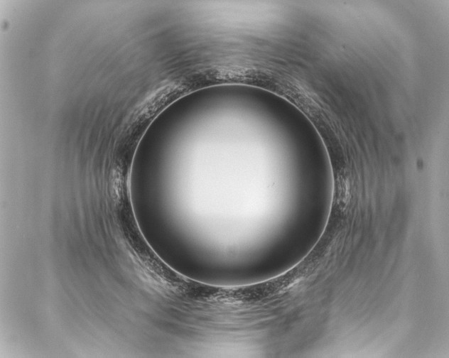 X0000088090648200705111505