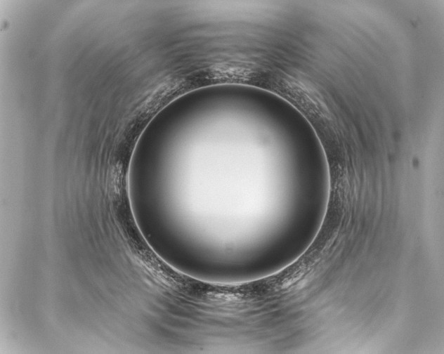 X0000088090649200705111505