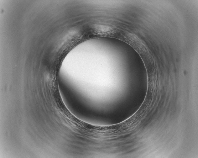X0000088090653200705111505