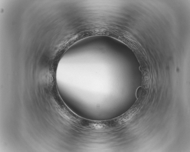 X0000088090654200705111505