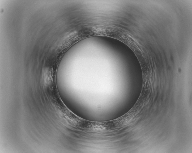 X0000088090702200705111504