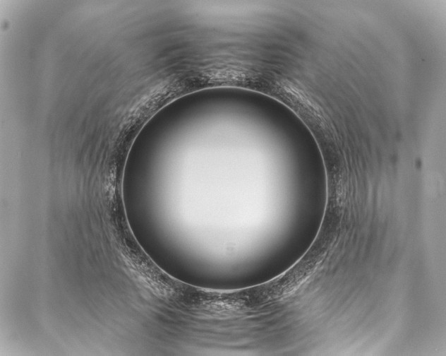 X0000088090737200705111504