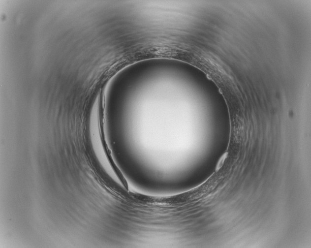 X0000088090748200705111504