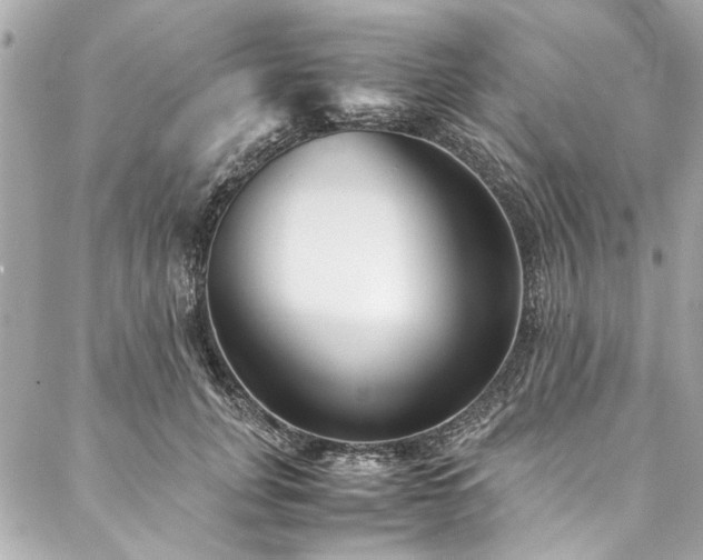 X0000088090751200705111504