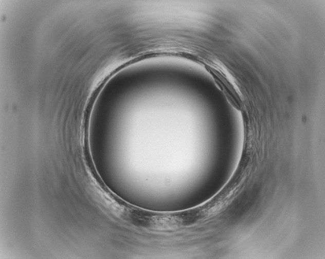 X0000088090795200705111503