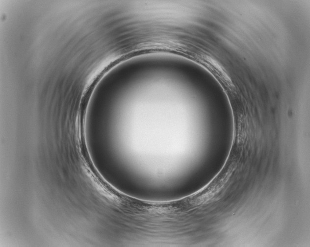 X0000088090796200705111503