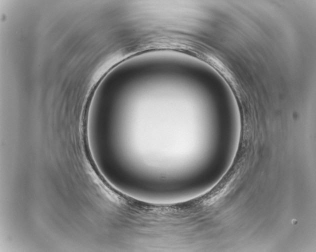 X0000088090803200705111503