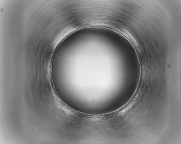 X0000088090814200705111503
