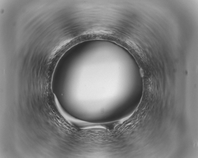 X0000088090872200705111502