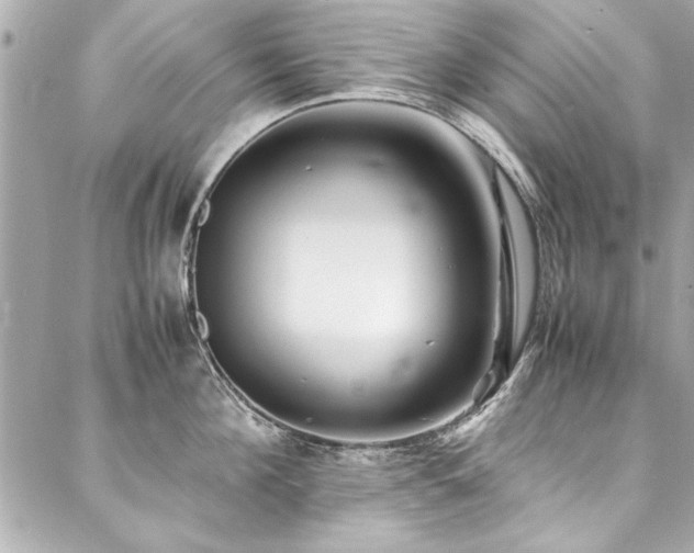 X0000088090908200705111501