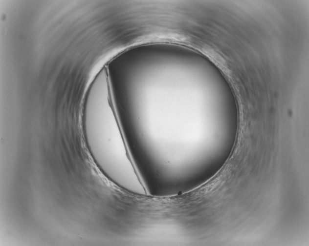 X0000088090912200705111501